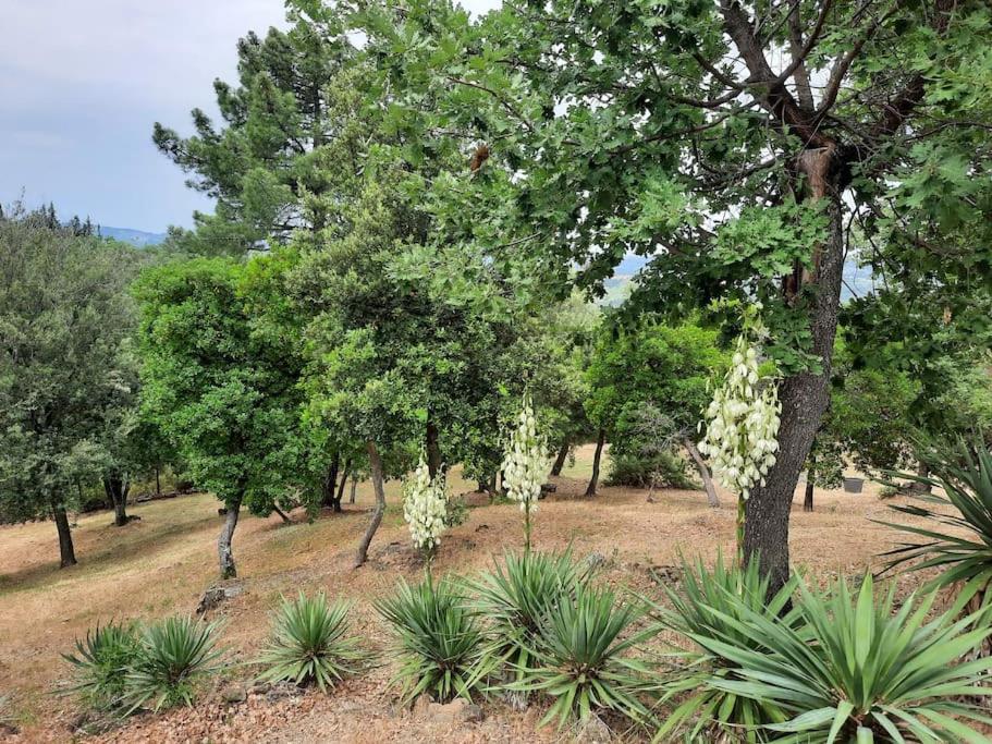 Villa Tutti I Colori Del Chianti Linari Exterior foto
